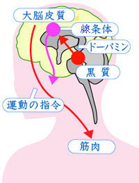 f:id:tujibee:20220111115140j:plain:w258:left