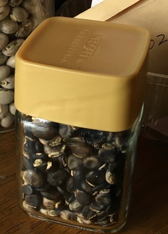 f:id:tujibee:20220124101235j:plain:w230:left