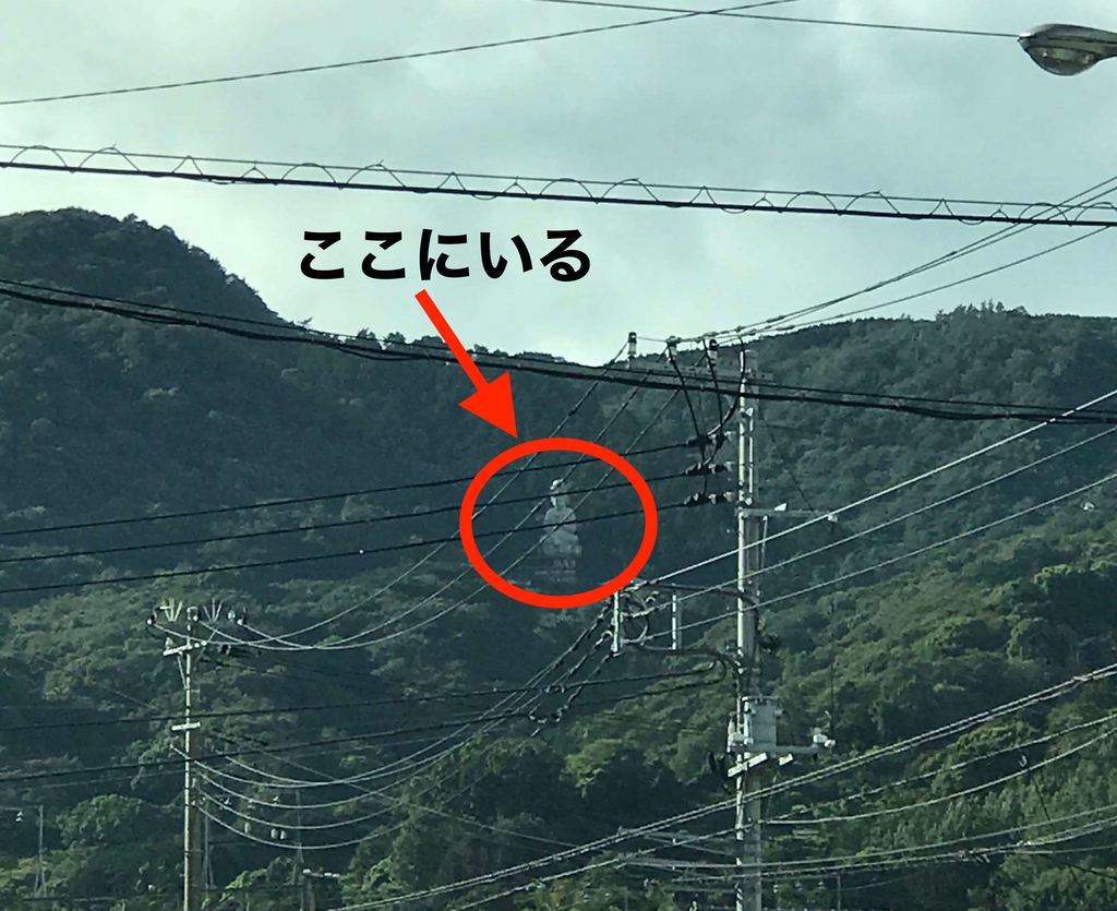 うさみ観音寺 伊東 宇佐美にある 巨大観音 を見にいった話 18 9 9訪問 小田原移住日記