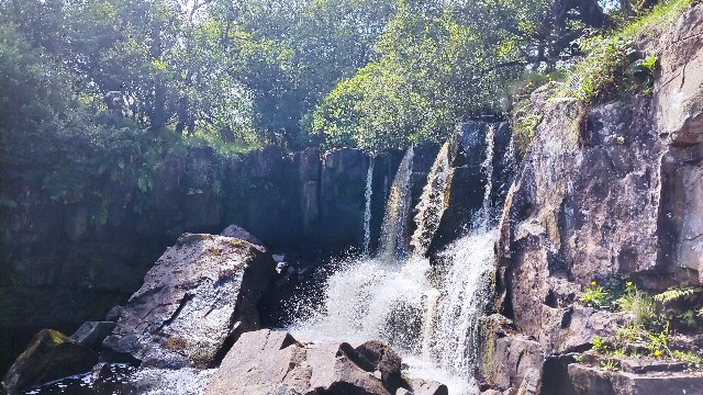 f:id:tuki-mapoda:20250817193933j:image f:id:tuki-mapoda:20250817193933j:image