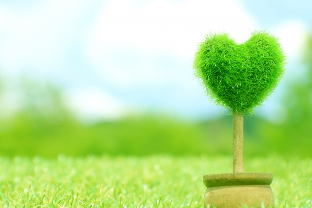 f:id:tukiakari74:20181101231110j:plain f:id:tukiakari74:20181101231110j:plain