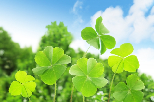 f:id:tukiakari74:20200412112310j:plain