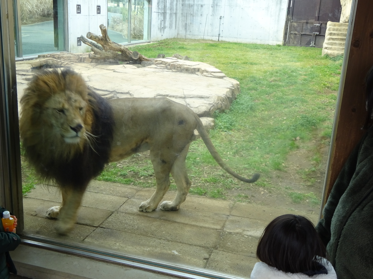 f:id:tukikanasoraomoi:20220327130837j:plain