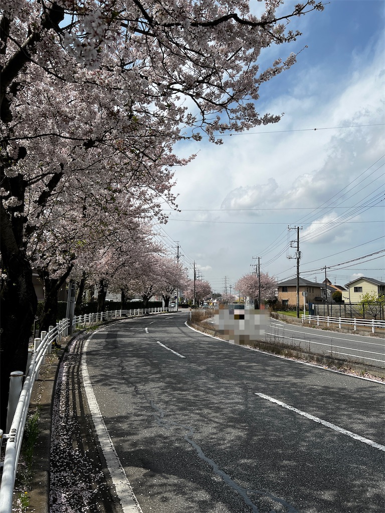 f:id:tukikanasoraomoi:20230404104627j:image