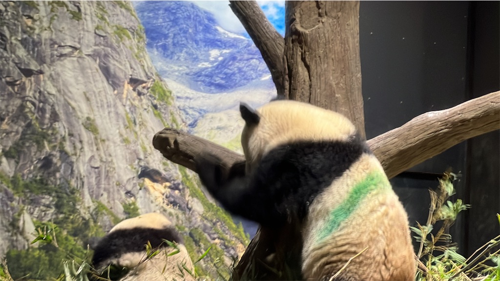 f:id:tukikanasoraomoi:20231027100248j:image f:id:tukikanasoraomoi:20231027100248j:image