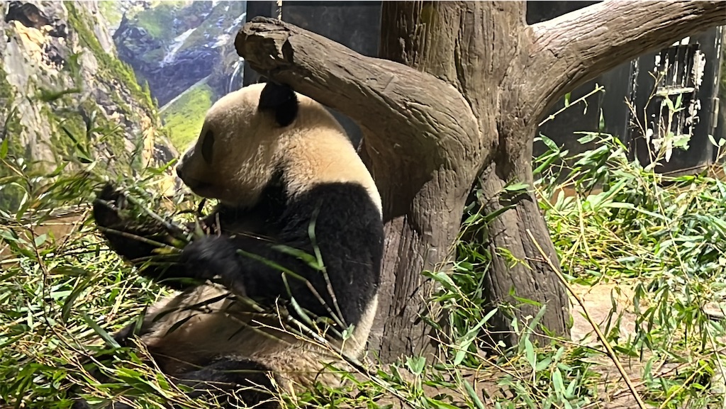 f:id:tukikanasoraomoi:20231027100257j:image f:id:tukikanasoraomoi:20231027100257j:image
