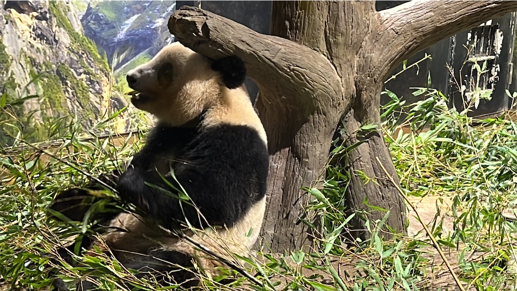 f:id:tukikanasoraomoi:20231027100300j:image f:id:tukikanasoraomoi:20231027100300j:image