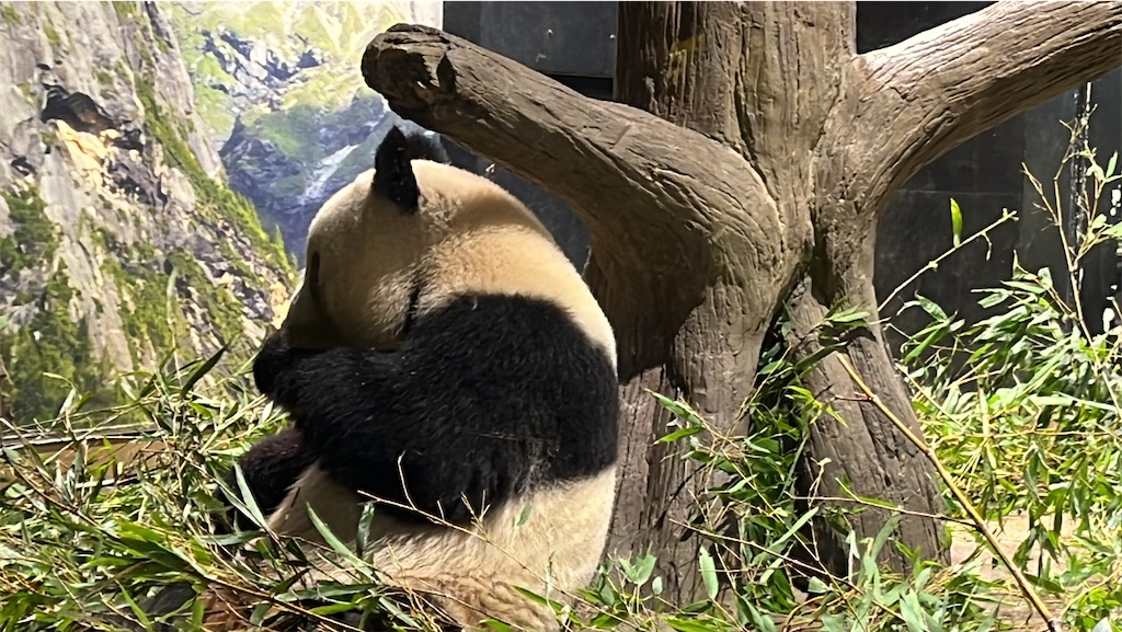 f:id:tukikanasoraomoi:20231027100303j:image f:id:tukikanasoraomoi:20231027100303j:image