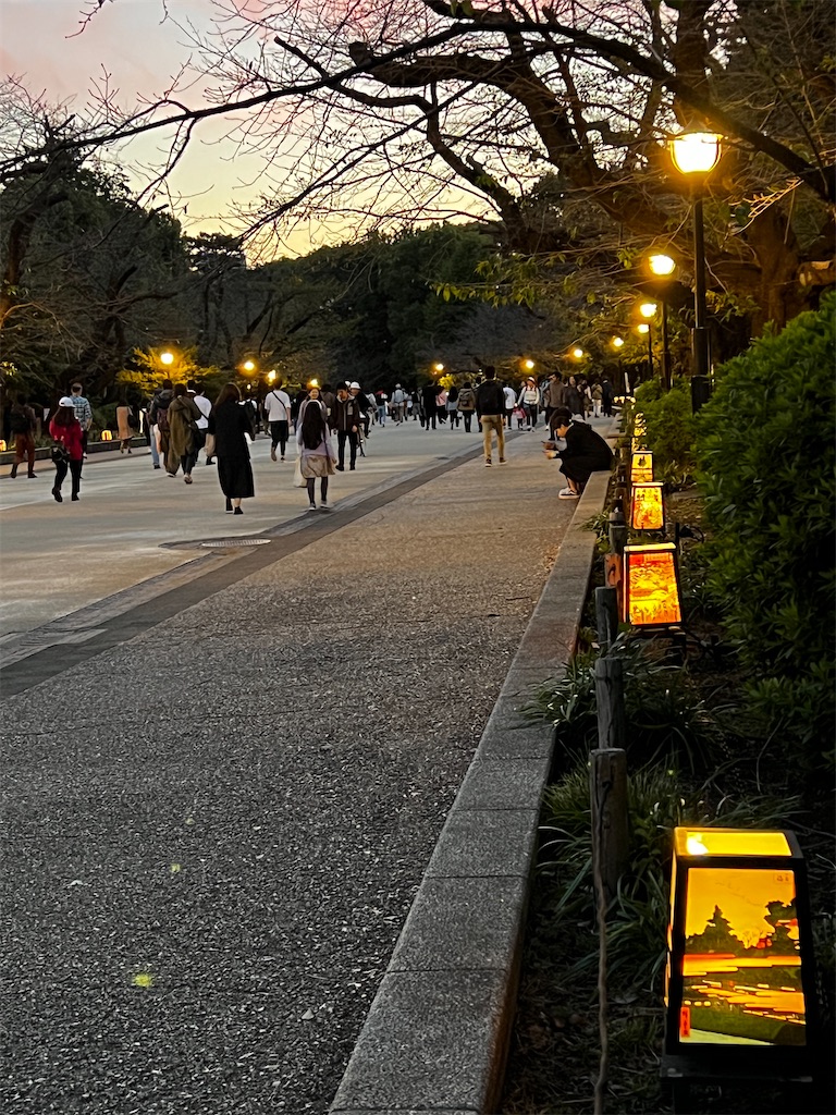 f:id:tukikanasoraomoi:20231027100312j:image f:id:tukikanasoraomoi:20231027100312j:image