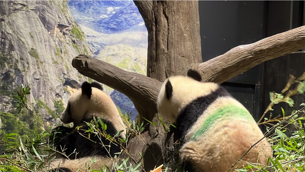 f:id:tukikanasoraomoi:20231027100321j:image f:id:tukikanasoraomoi:20231027100321j:image