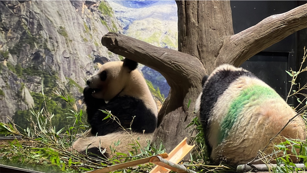 f:id:tukikanasoraomoi:20231027100324j:image f:id:tukikanasoraomoi:20231027100324j:image