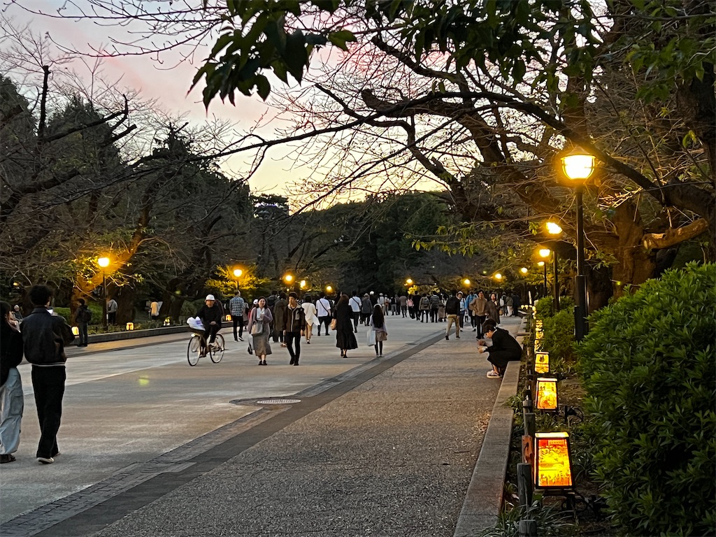 f:id:tukikanasoraomoi:20231027100327j:image f:id:tukikanasoraomoi:20231027100327j:image