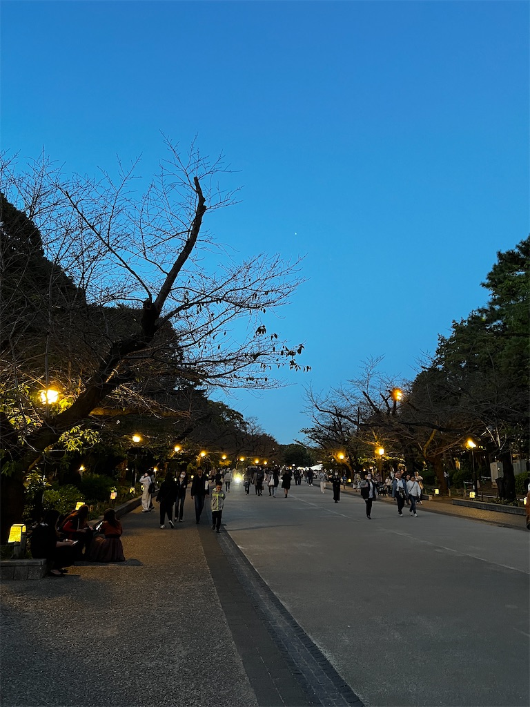 f:id:tukikanasoraomoi:20231027100343j:image f:id:tukikanasoraomoi:20231027100343j:image