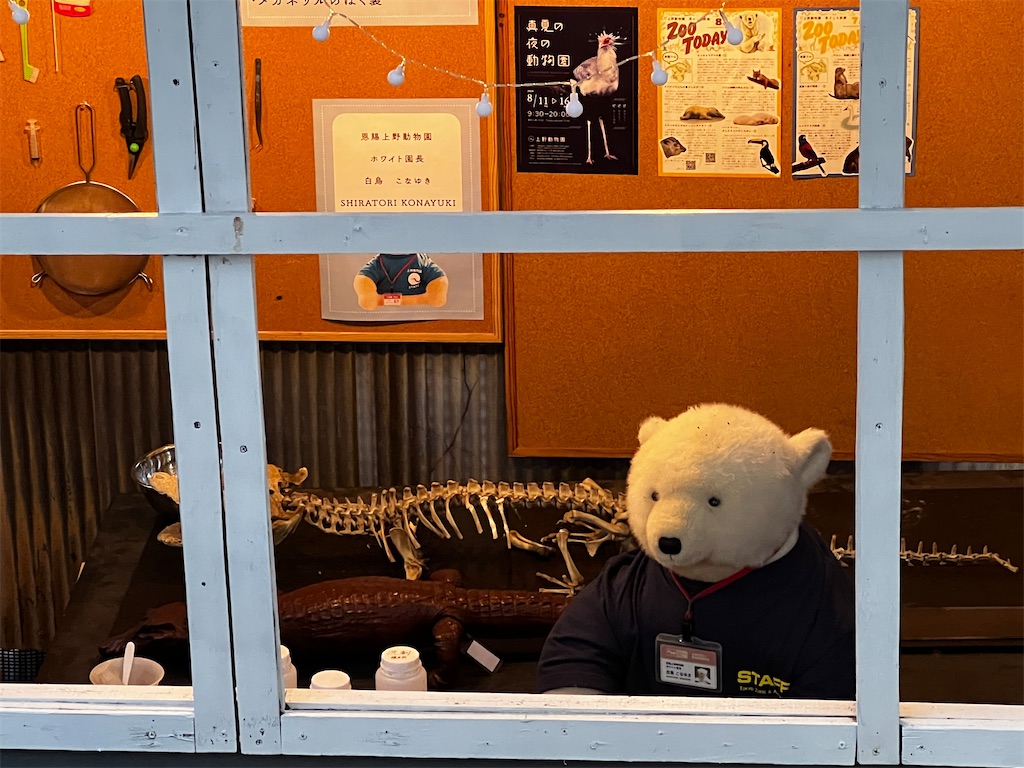 f:id:tukikanasoraomoi:20231027100356j:image f:id:tukikanasoraomoi:20231027100356j:image