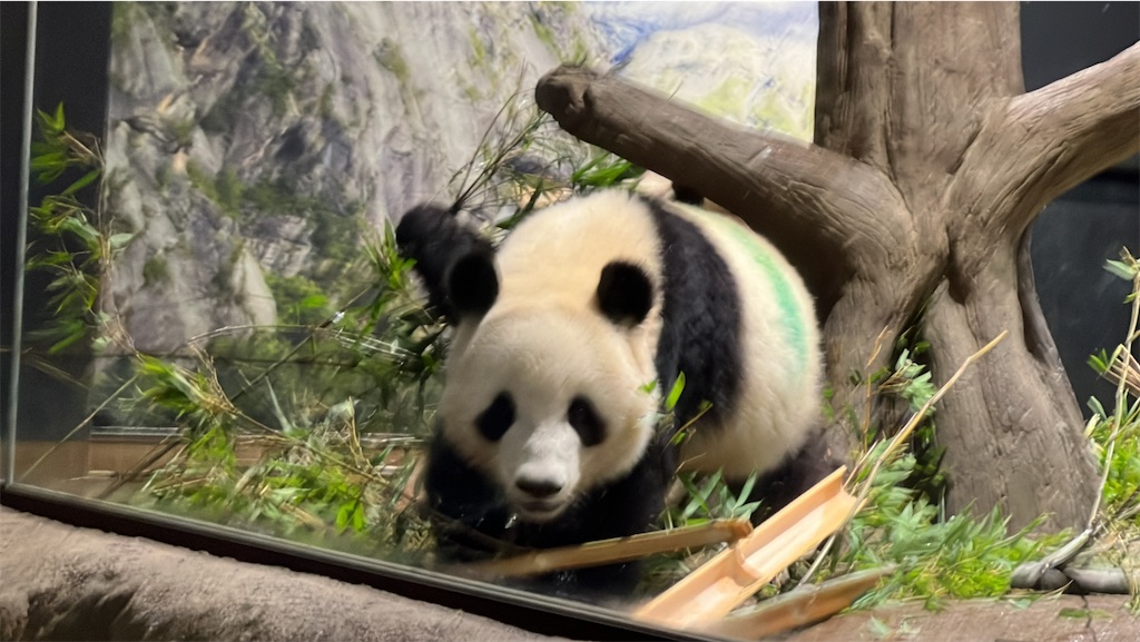 f:id:tukikanasoraomoi:20231027100418j:image f:id:tukikanasoraomoi:20231027100418j:image