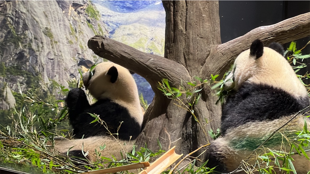 f:id:tukikanasoraomoi:20231027100425j:image f:id:tukikanasoraomoi:20231027100425j:image
