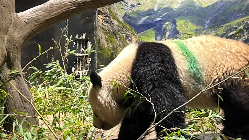 f:id:tukikanasoraomoi:20231027100449j:image f:id:tukikanasoraomoi:20231027100449j:image