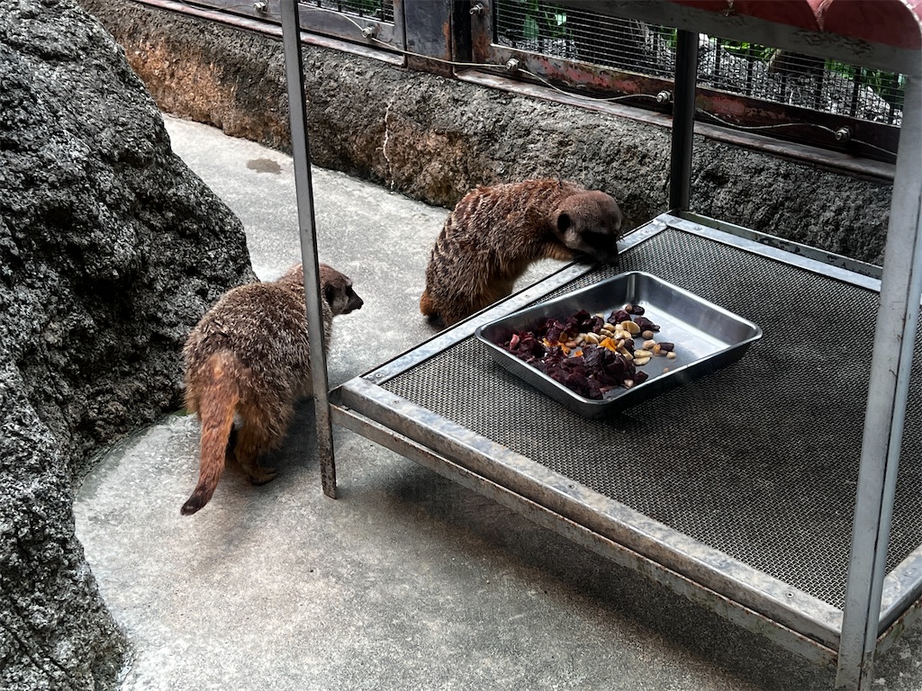 f:id:tukikanasoraomoi:20240501102159j:image