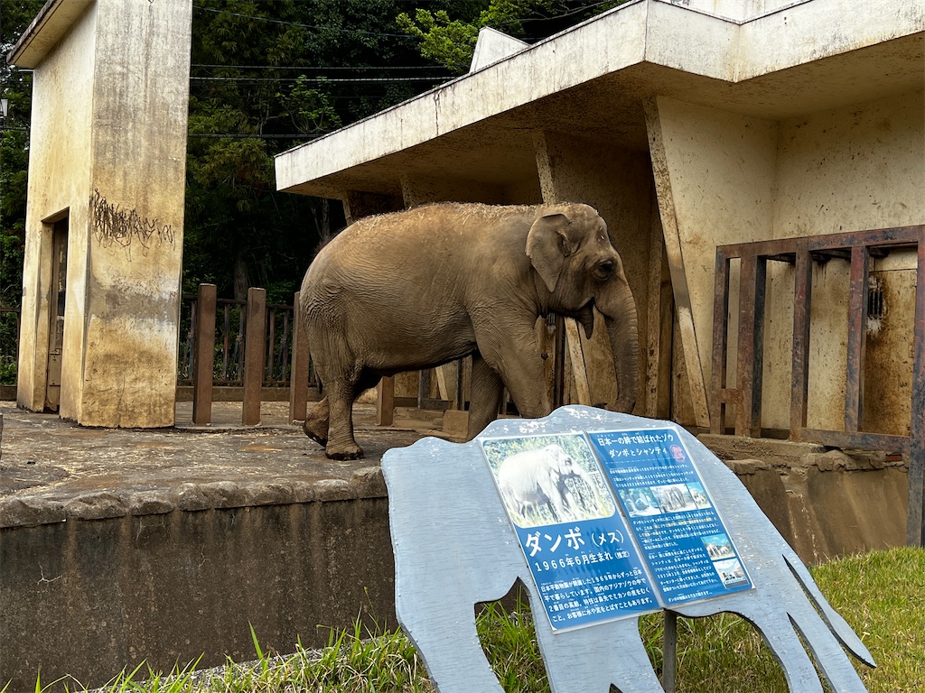 f:id:tukikanasoraomoi:20240501102746j:image