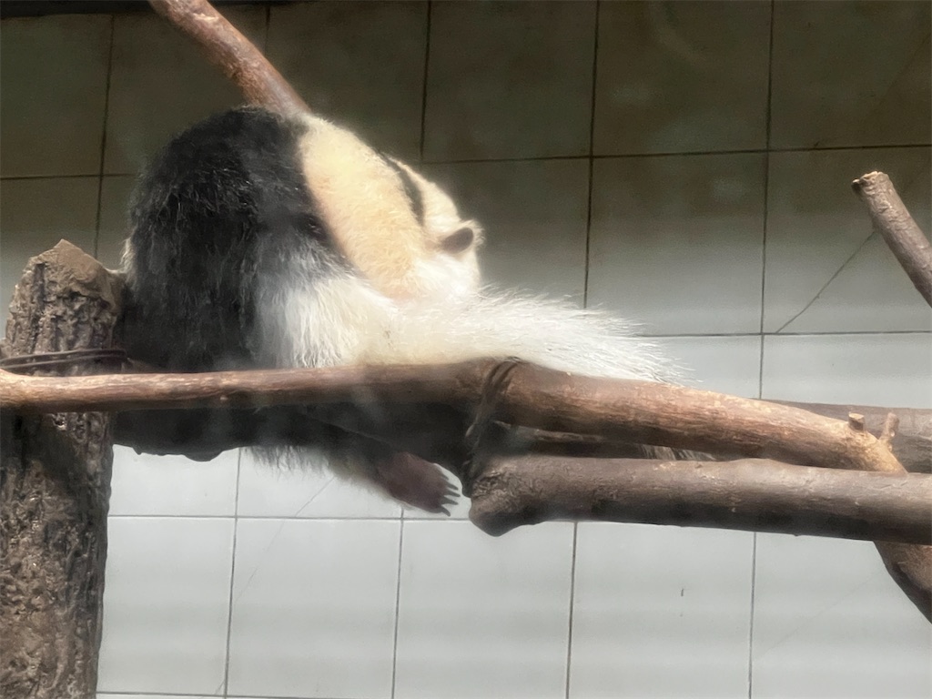 f:id:tukikanasoraomoi:20240529162755j:image