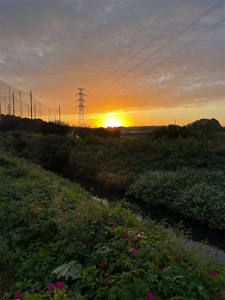 f:id:tukikanasoraomoi:20241025111448j:image