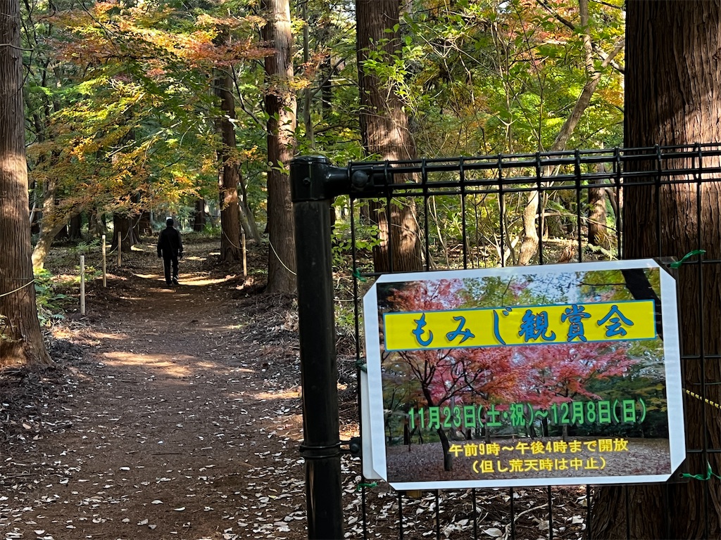 f:id:tukikanasoraomoi:20241206110747j:image