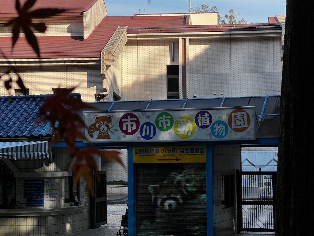 f:id:tukikanasoraomoi:20241206110839j:image