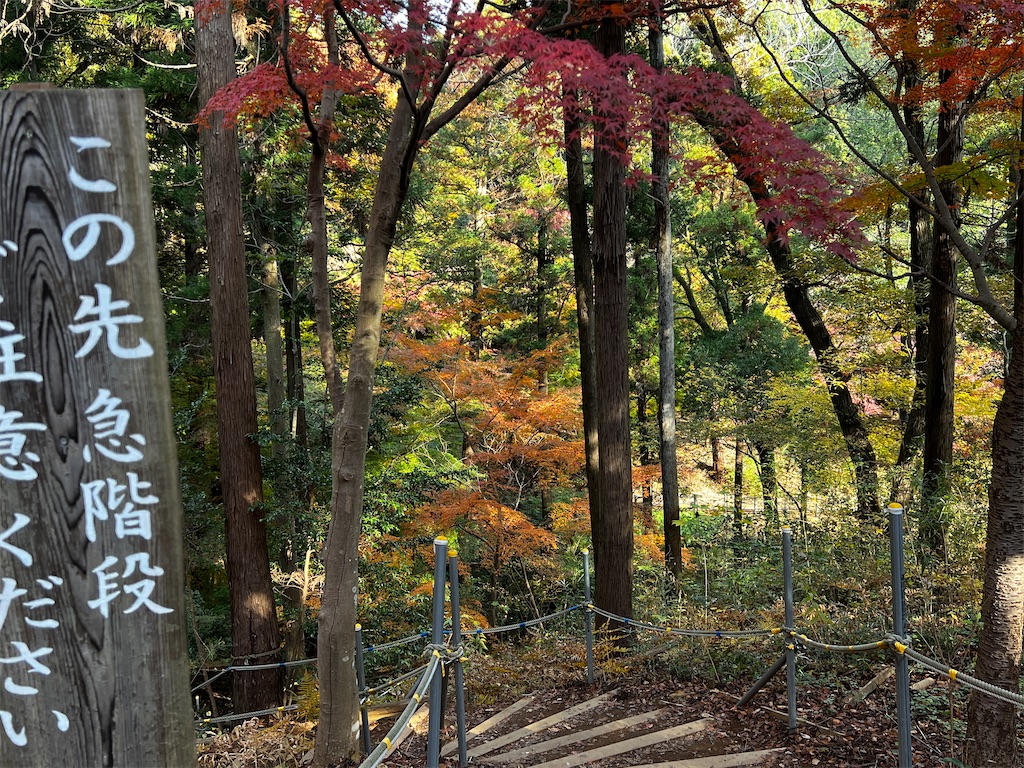 f:id:tukikanasoraomoi:20241206110929j:image