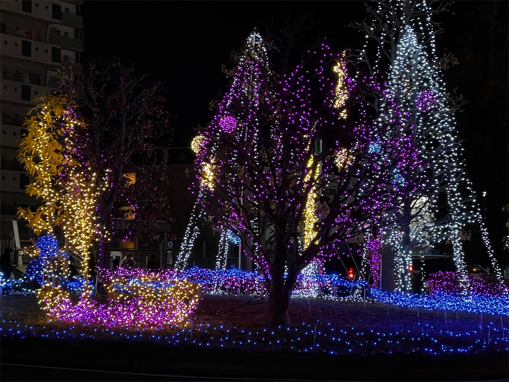 f:id:tukikanasoraomoi:20241219094148j:image