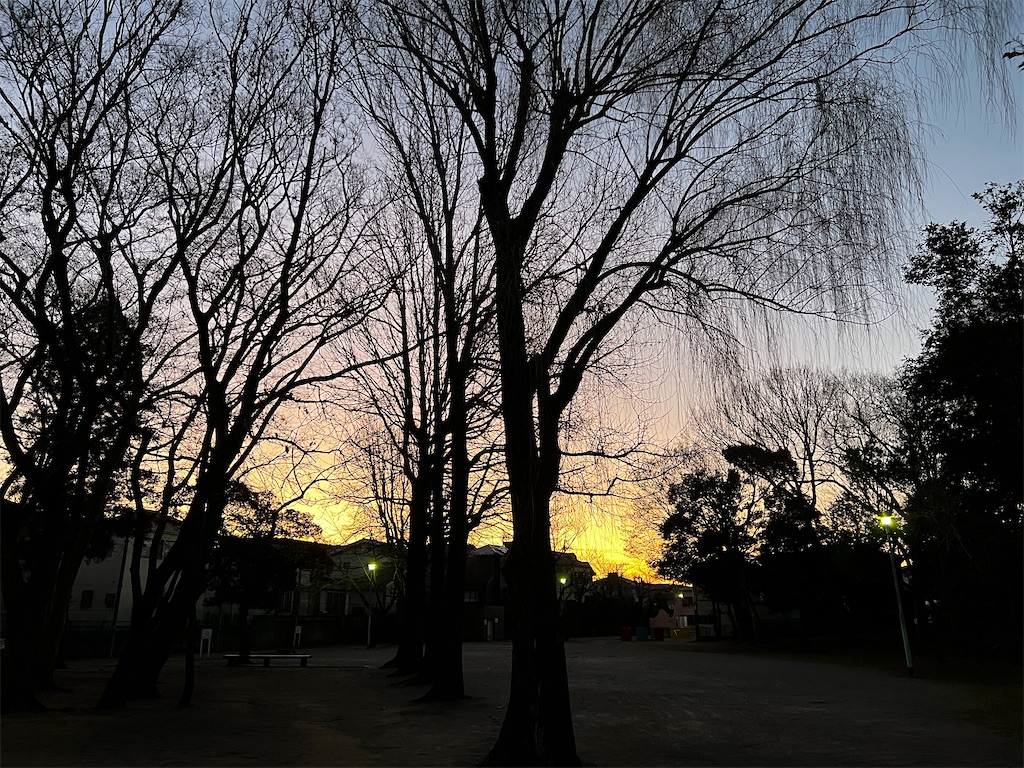 f:id:tukikanasoraomoi:20250101084826j:image