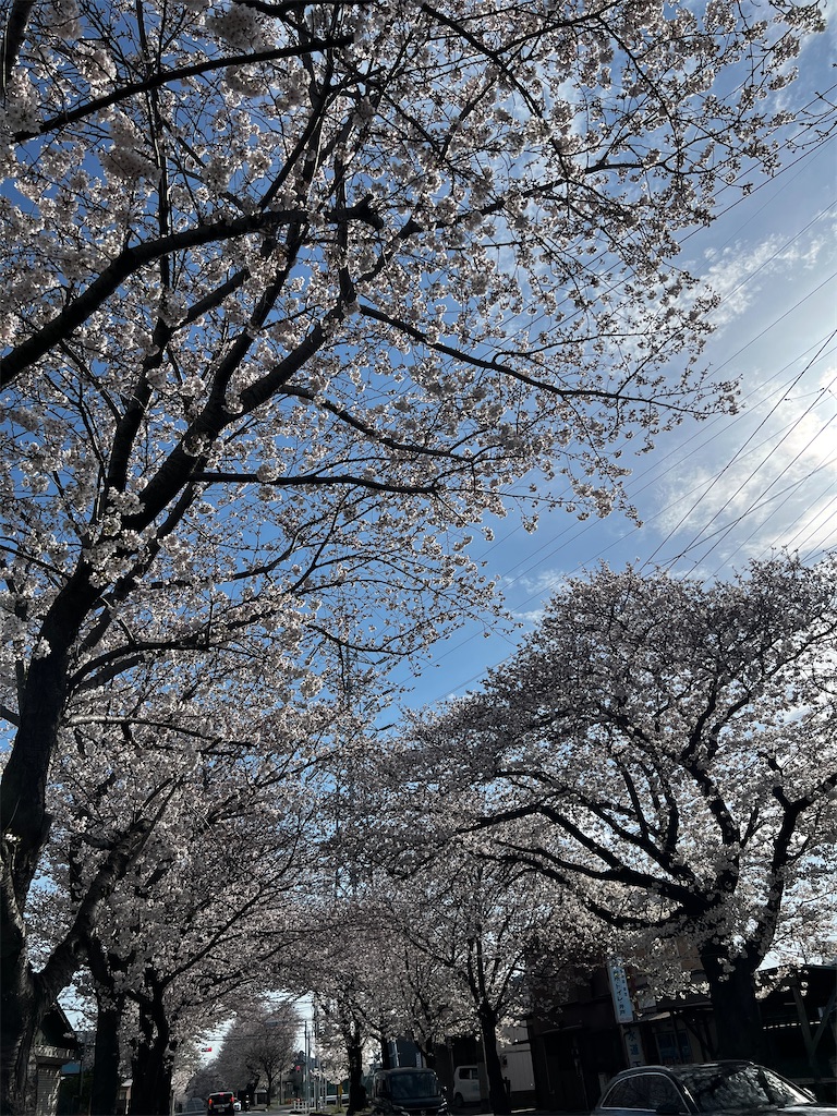f:id:tukikanasoraomoi:20250406135441j:image