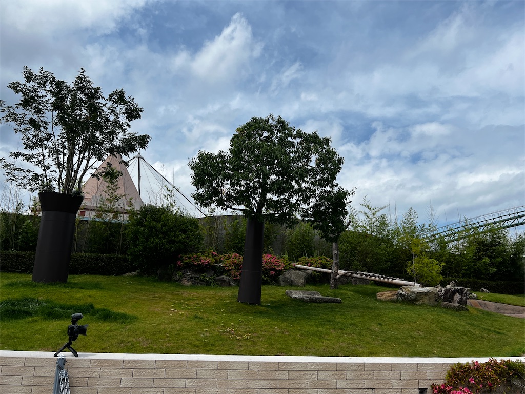 f:id:tukikanasoraomoi:20250618072035j:image