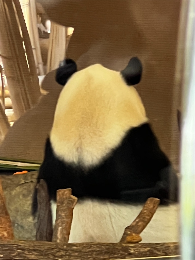 f:id:tukikanasoraomoi:20250618110003j:image
