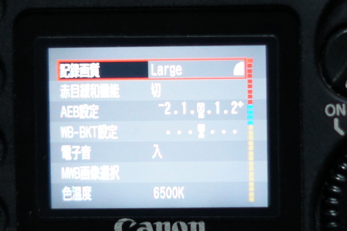 f:id:tukikoneko:20200425012907j:plain