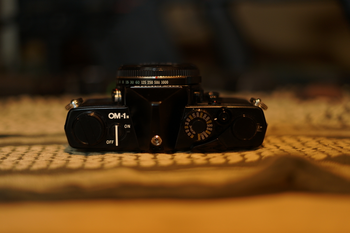 f:id:tukikoneko:20200503042215j:plain