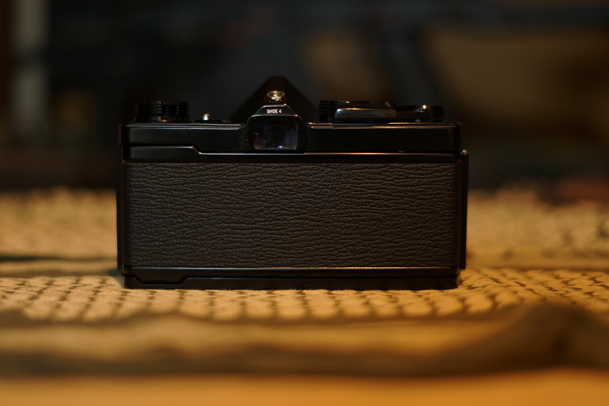 f:id:tukikoneko:20200503043442j:plain