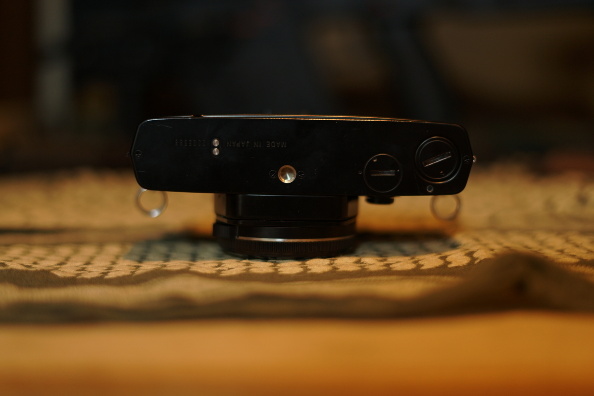 f:id:tukikoneko:20200503044223j:plain