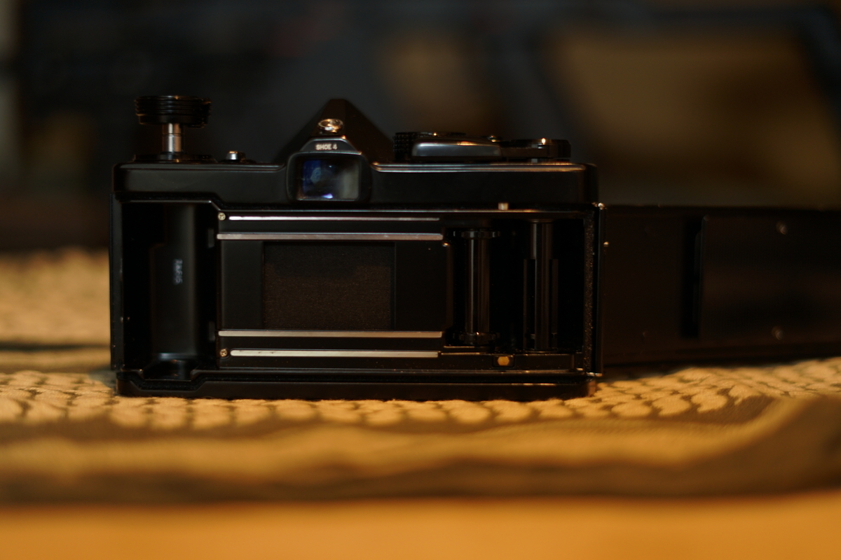 f:id:tukikoneko:20200503044856j:plain