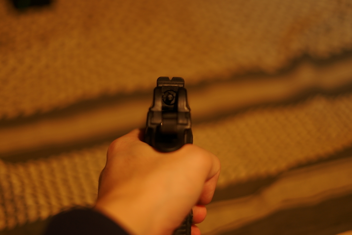 f:id:tukikoneko:20200506230956j:plain