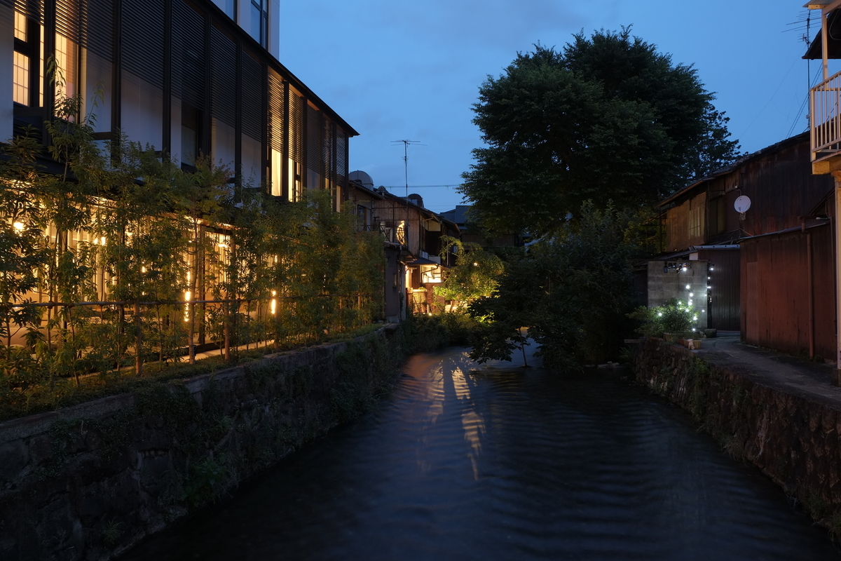 f:id:tukikoneko:20201204215111j:plain