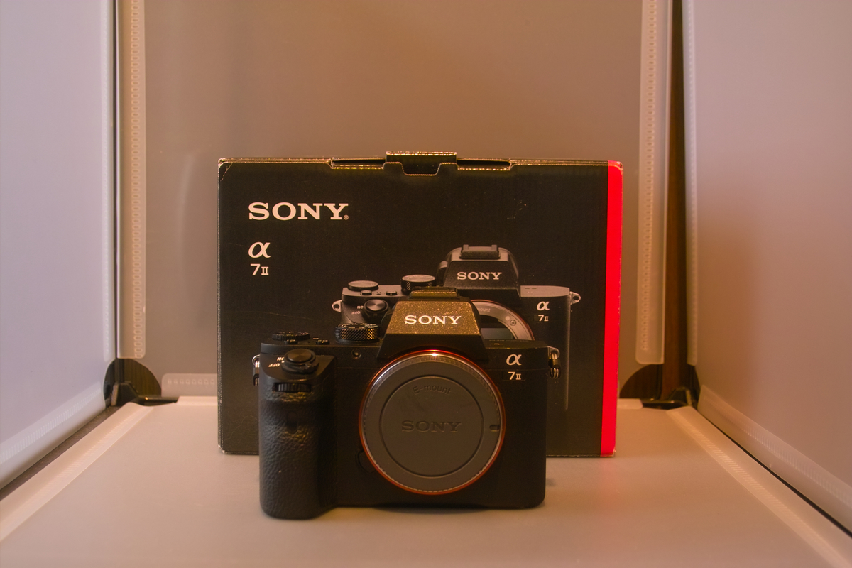 f:id:tukikoneko:20210116231656j:plain