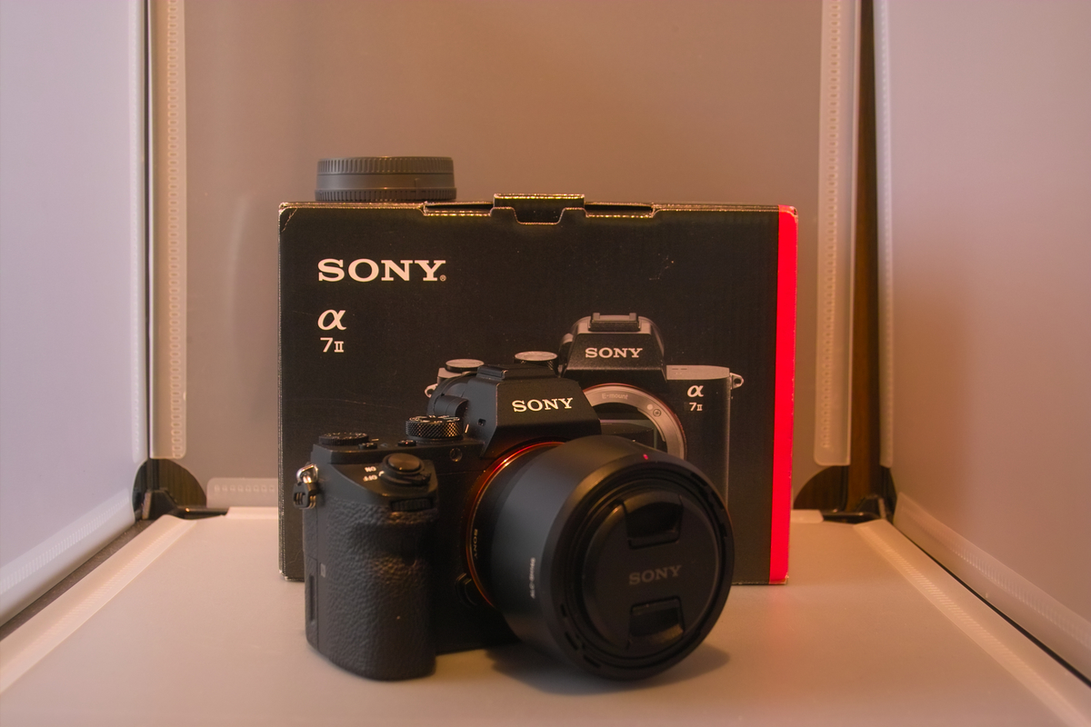 f:id:tukikoneko:20210116232757j:plain