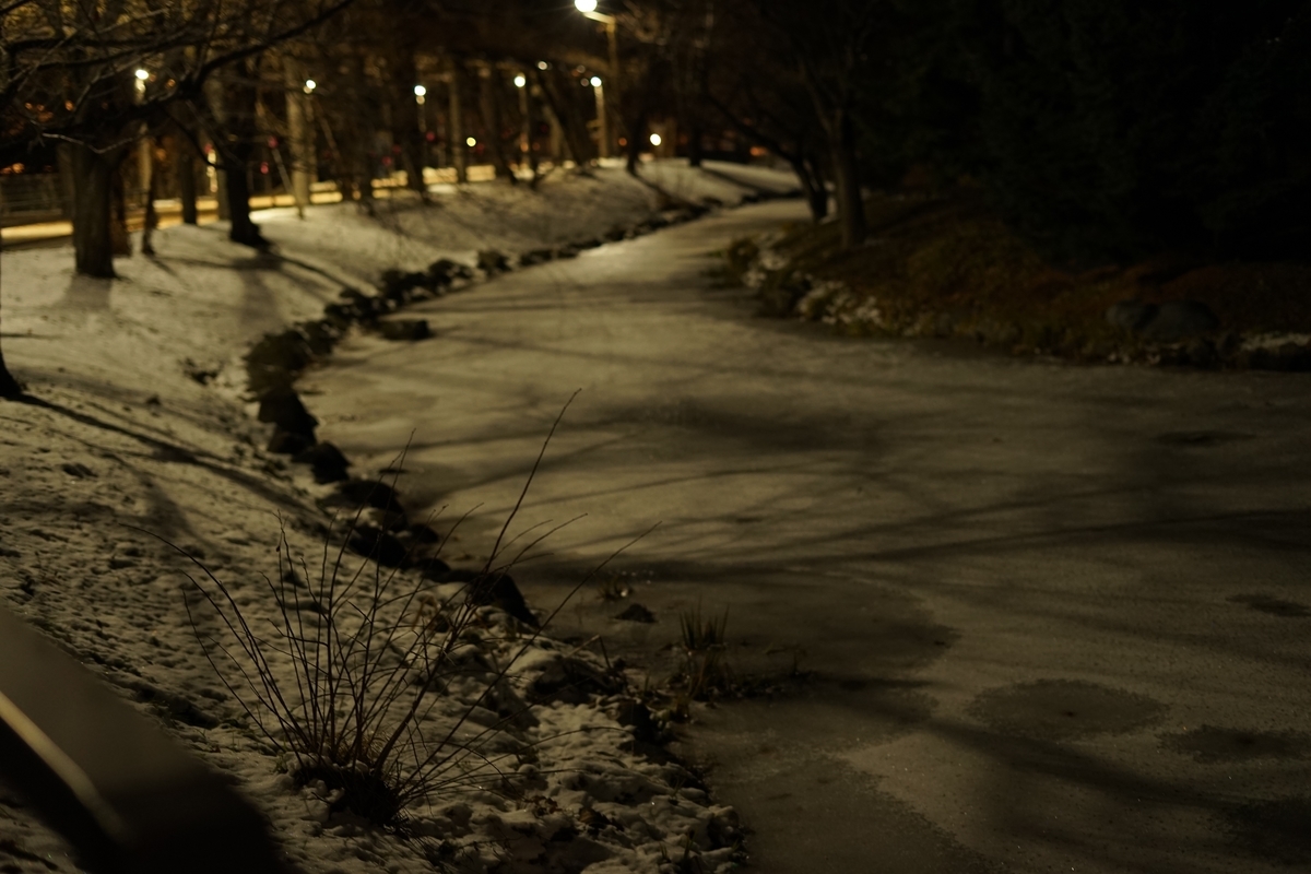 f:id:tukikoneko:20210118041352j:plain