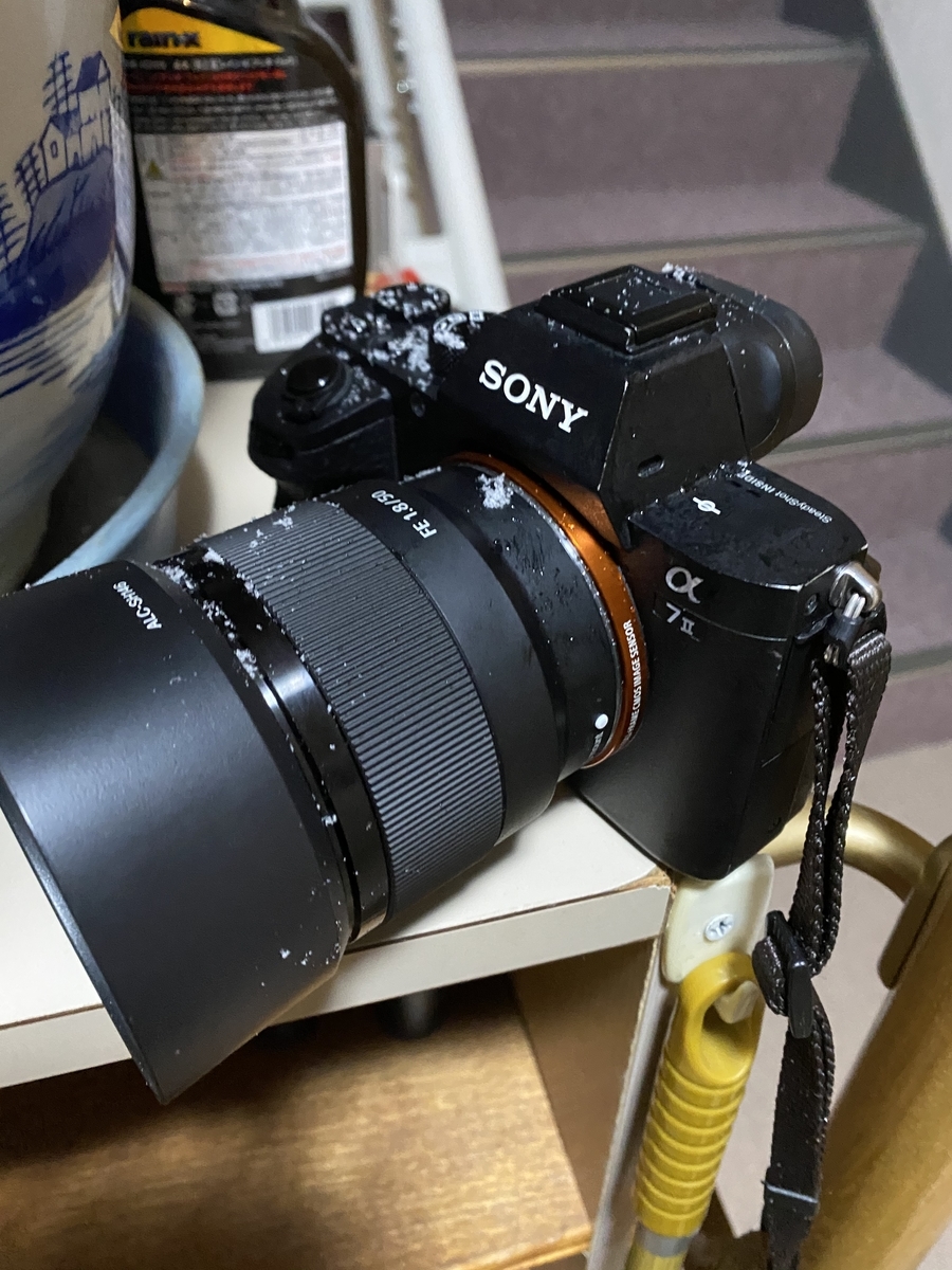 f:id:tukikoneko:20210118041930j:plain