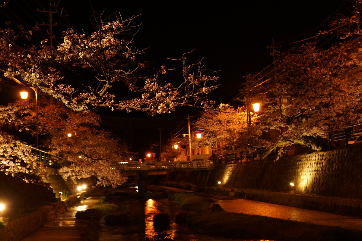 f:id:tukikoneko:20210118042752j:plain