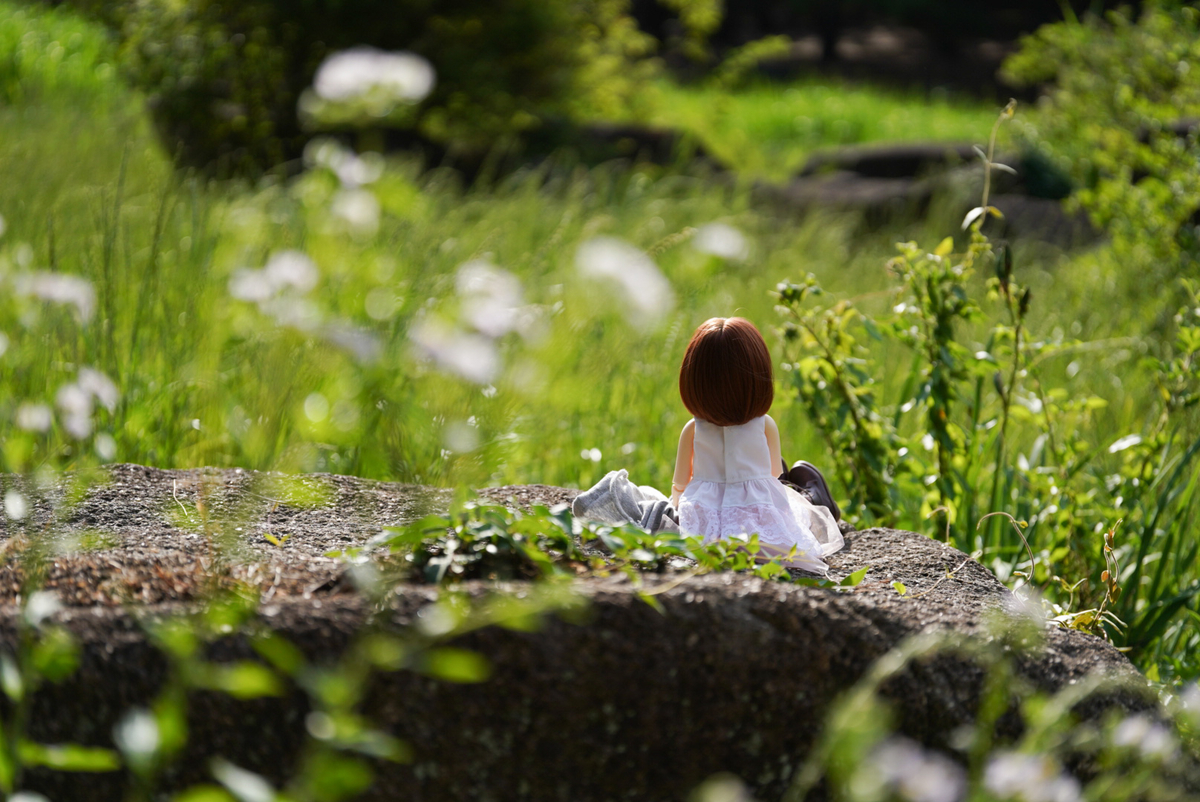 f:id:tukimifuchi:20190605160957j:plain f:id:tukimifuchi:20190605160957j:plain