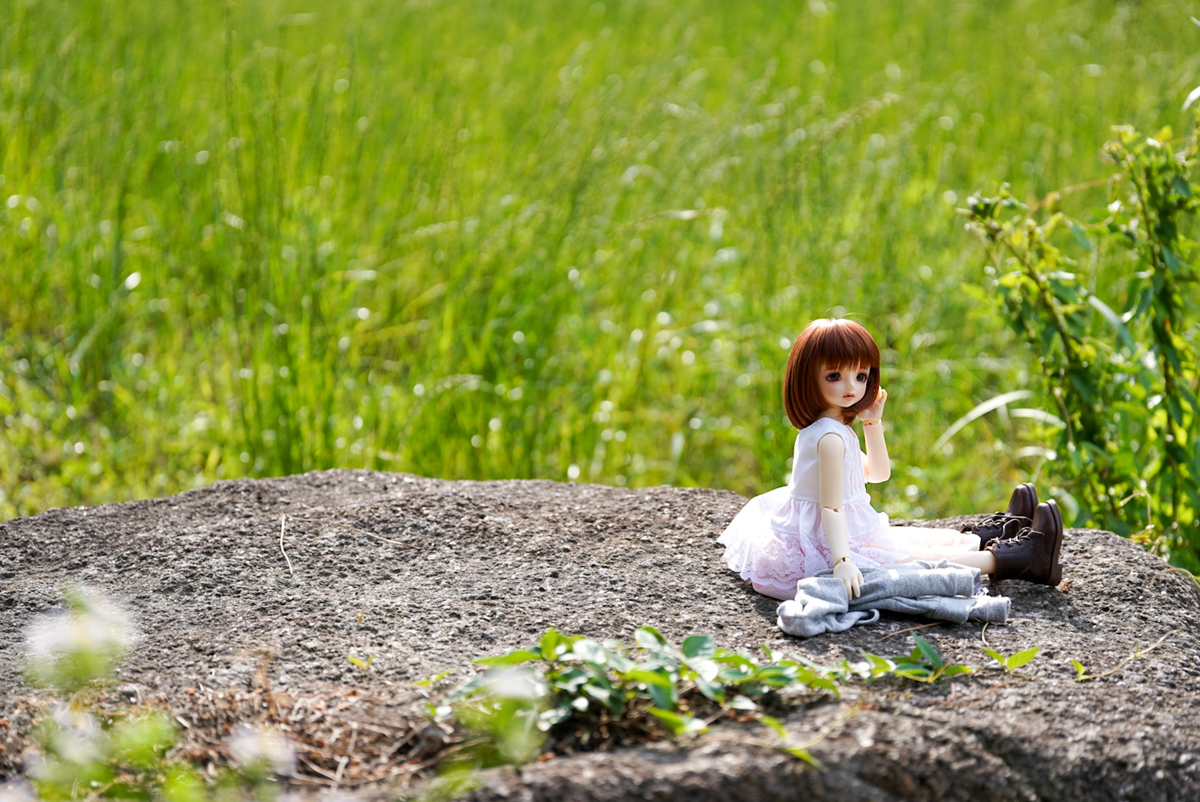 f:id:tukimifuchi:20190605161339j:plain f:id:tukimifuchi:20190605161339j:plain