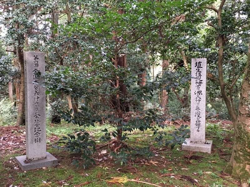 f:id:tukinoaguma:20191112125217j:plain