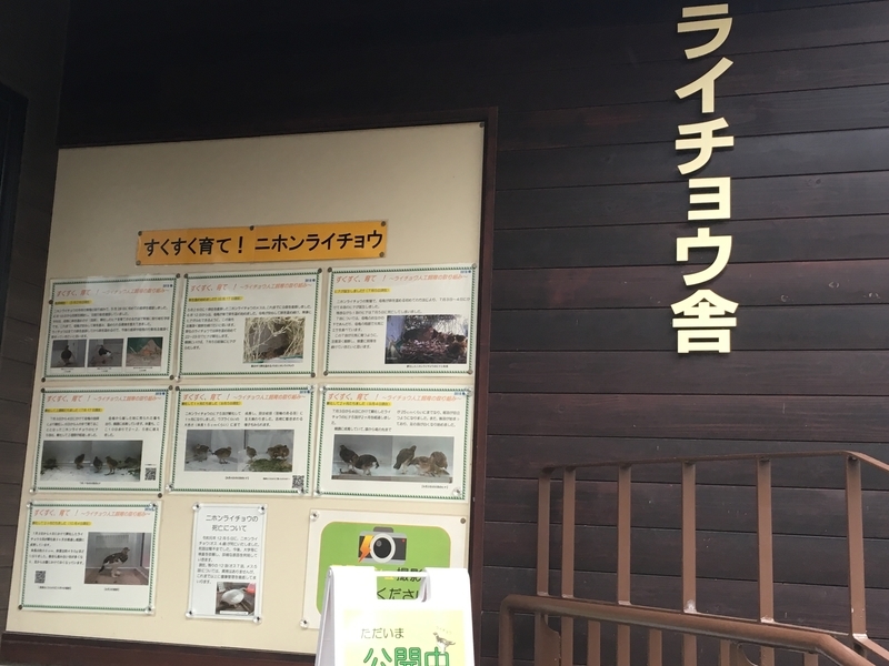 f:id:tukinoaguma:20191230231416j:plain f:id:tukinoaguma:20191230231416j:plain