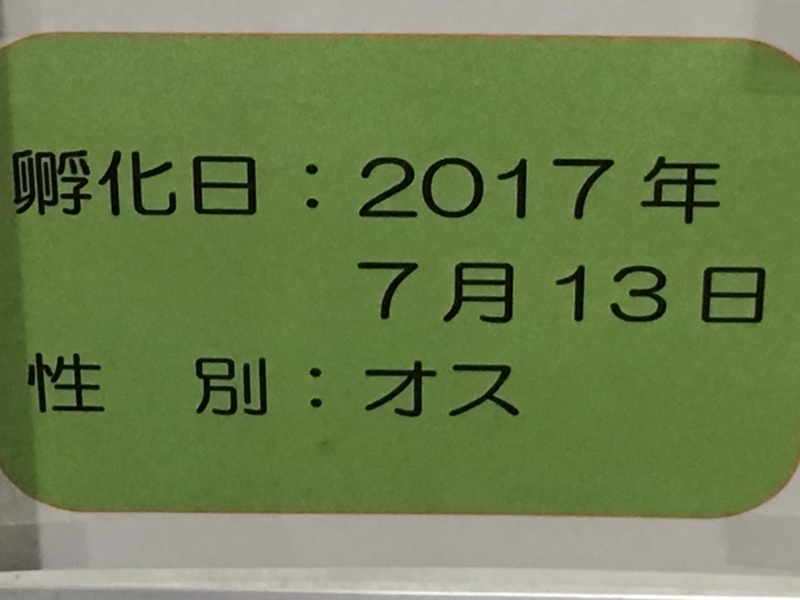 f:id:tukinoaguma:20191230231511j:plain f:id:tukinoaguma:20191230231511j:plain